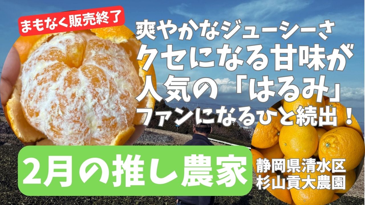 2月の推し農家：杉山貢大農園「清水のジューシーで甘いみかん・はるみ！5キロ箱」予約販売中！