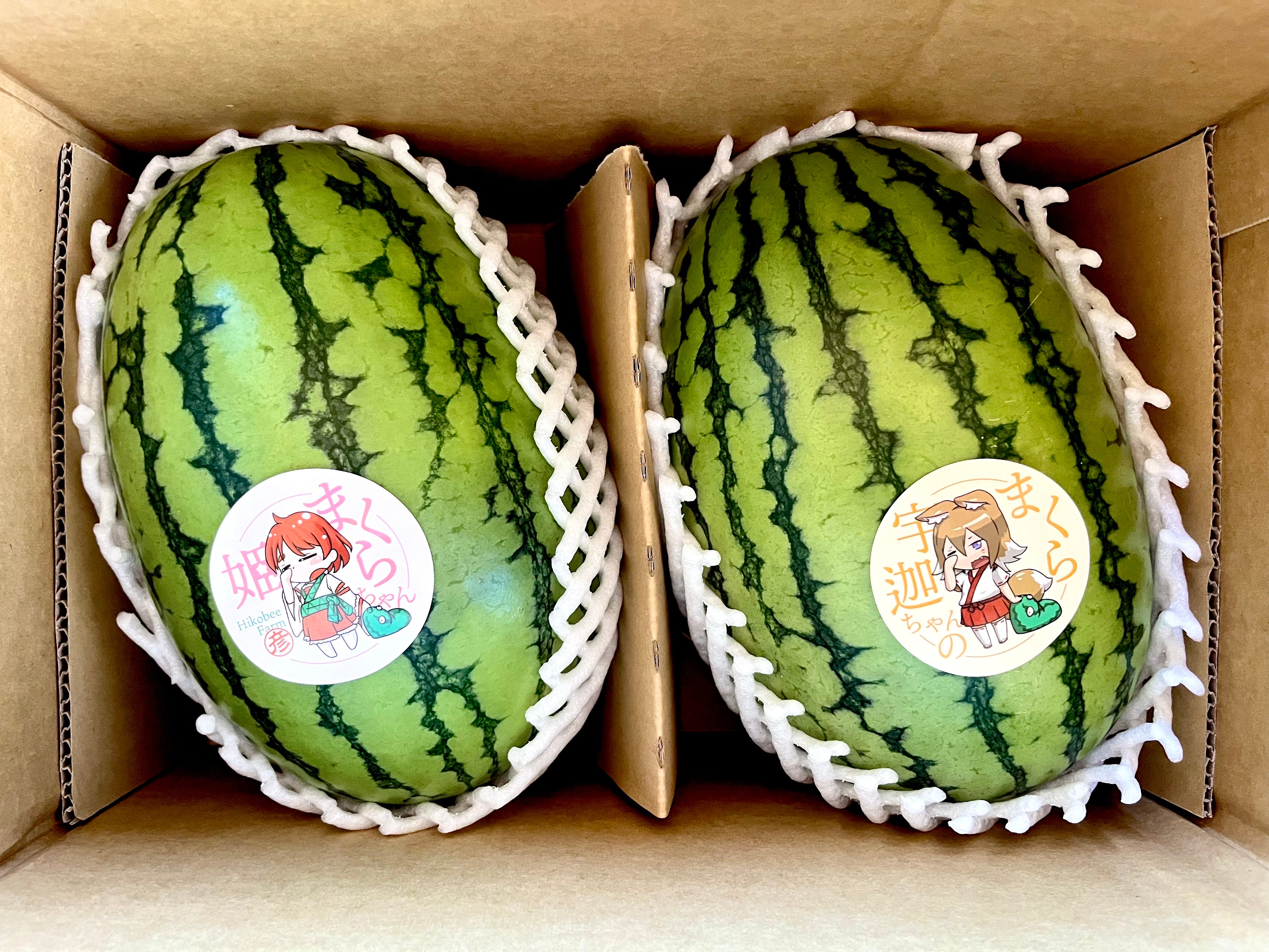 夏の思い出に！小玉スイカ「姫まくら」