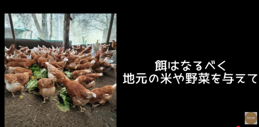 『農村日和』3月の推し農家：おやまの農園ほーんびるさん