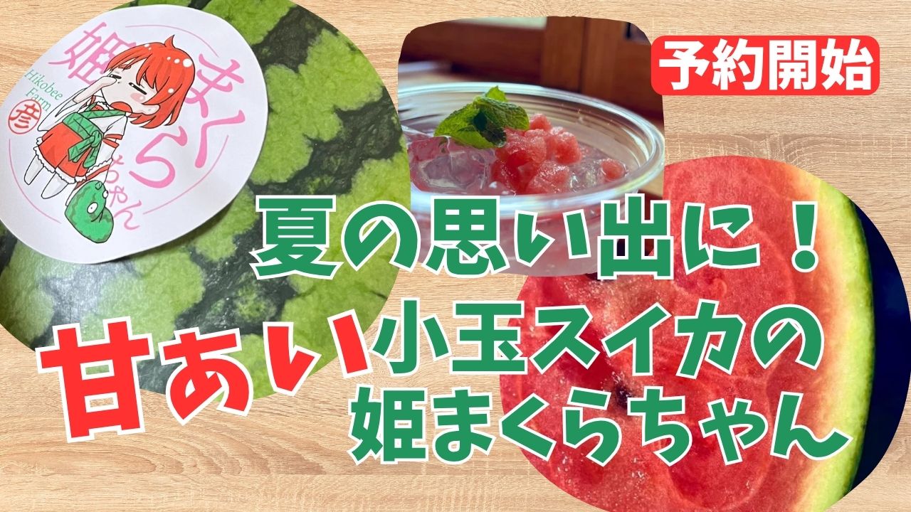 6月の推し農家：彦兵衛農園「夏の思い出に！甘ぁい小玉スイカの姫まくらちゃん」予約販売開始！