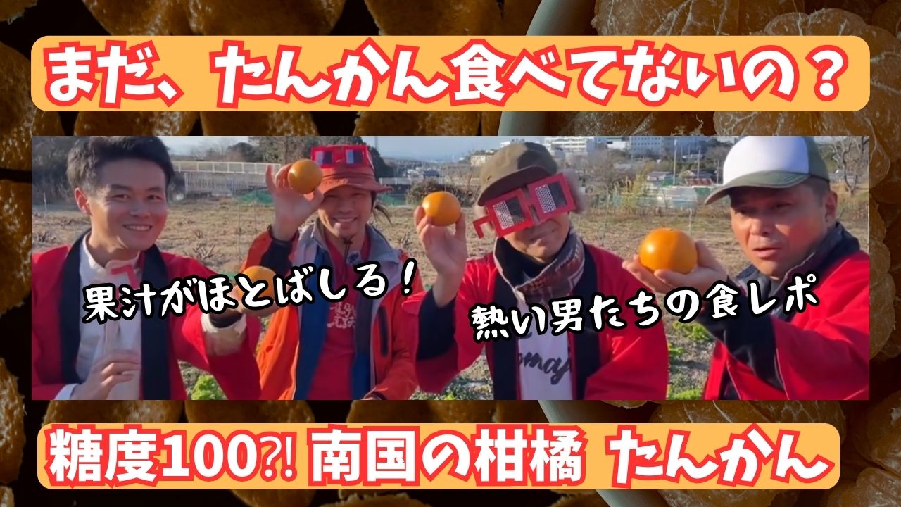 【1月の推し農家】平農園さん：南国の風漂う柑橘「たんかん」をみんなで食べてみた