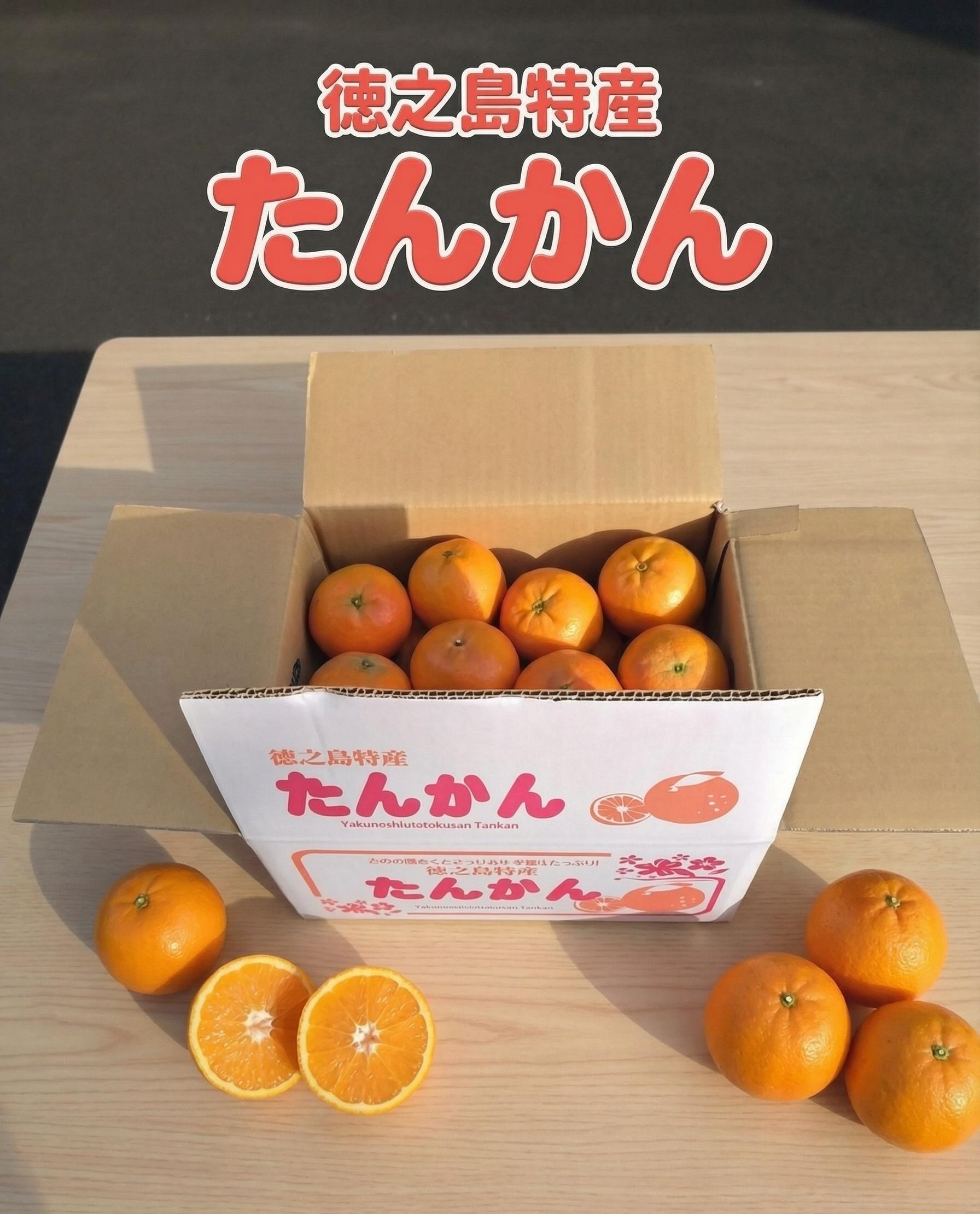 たんかん  (5kg)