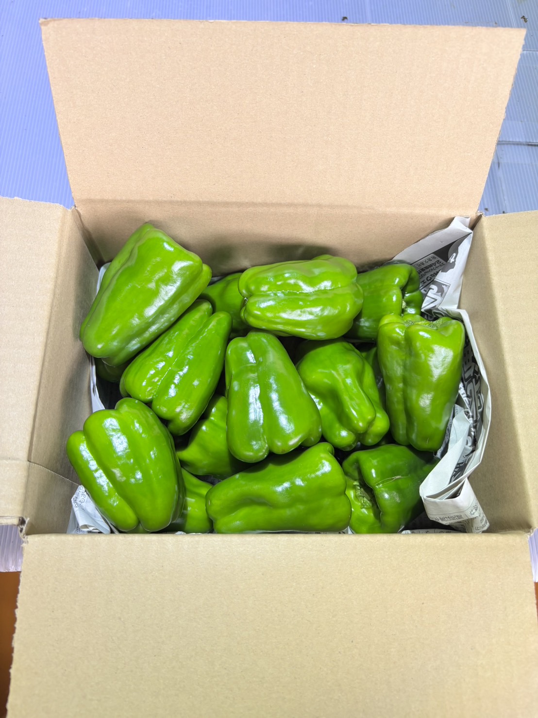 ピーマン（1kg）